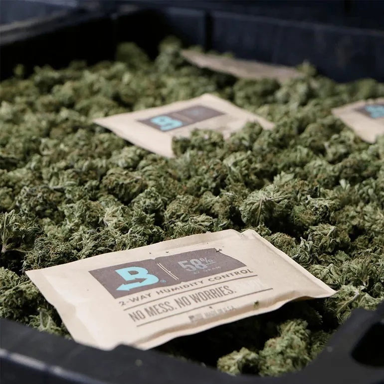 100 Individually Wrapped 8g Boveda 62% Pack