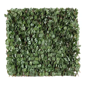 Amgo expandable ivy