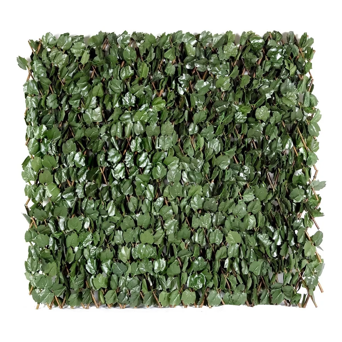Amgo expandable ivy