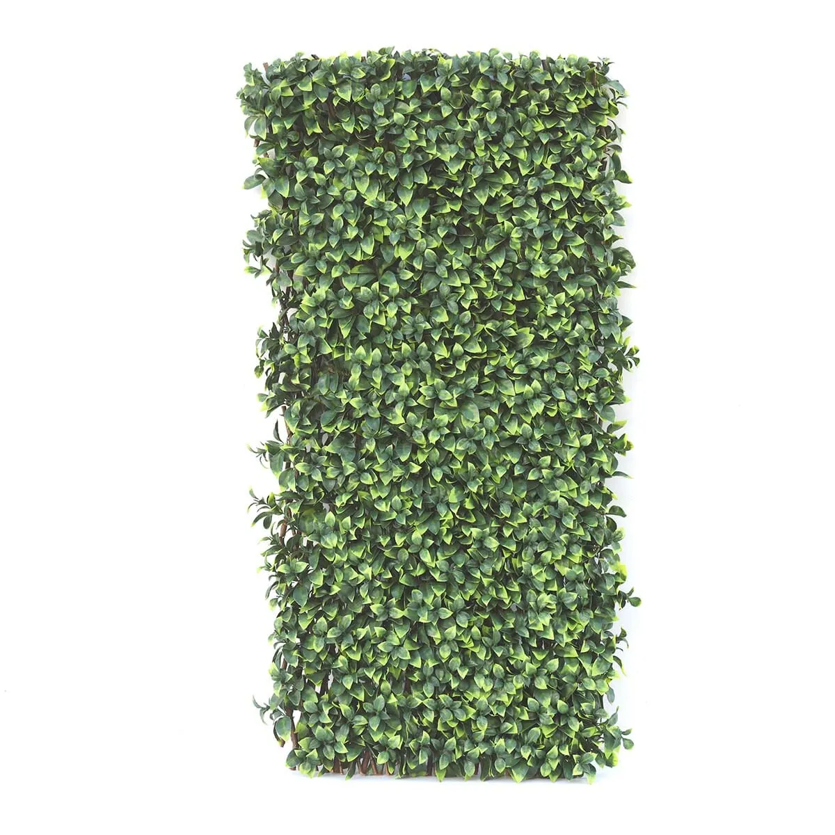 Amgo expandable ivy