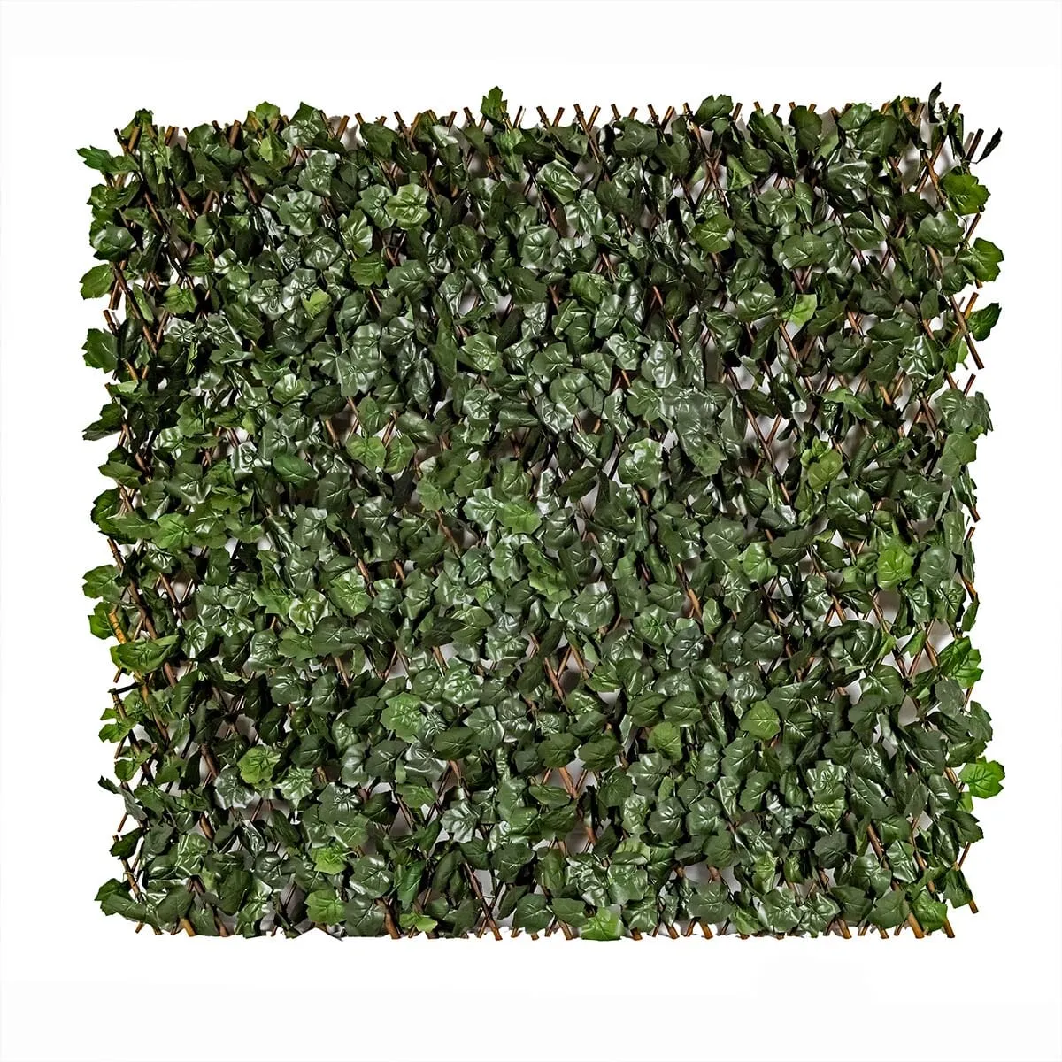 Amgo expandable ivy