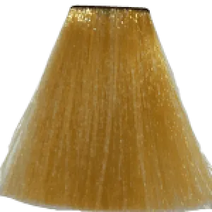 Augeas Professional Hair Color - 9.3 Very Light Golden Blonde