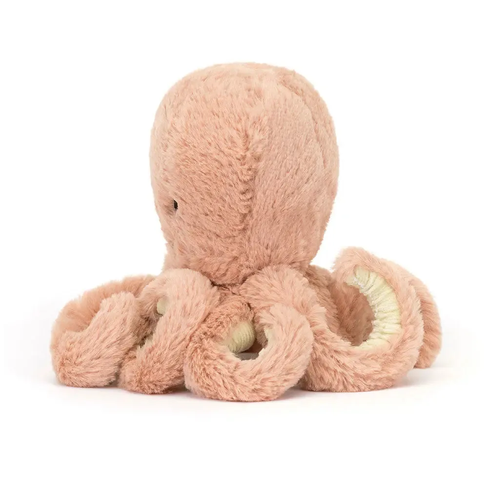 Baby Odell Octopus