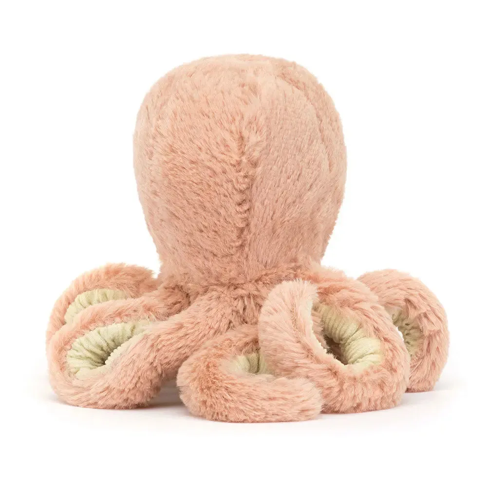 Baby Odell Octopus