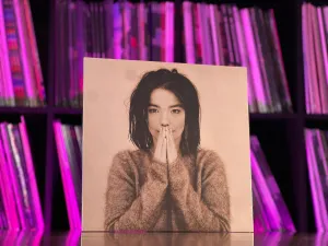 Bjork - Debut