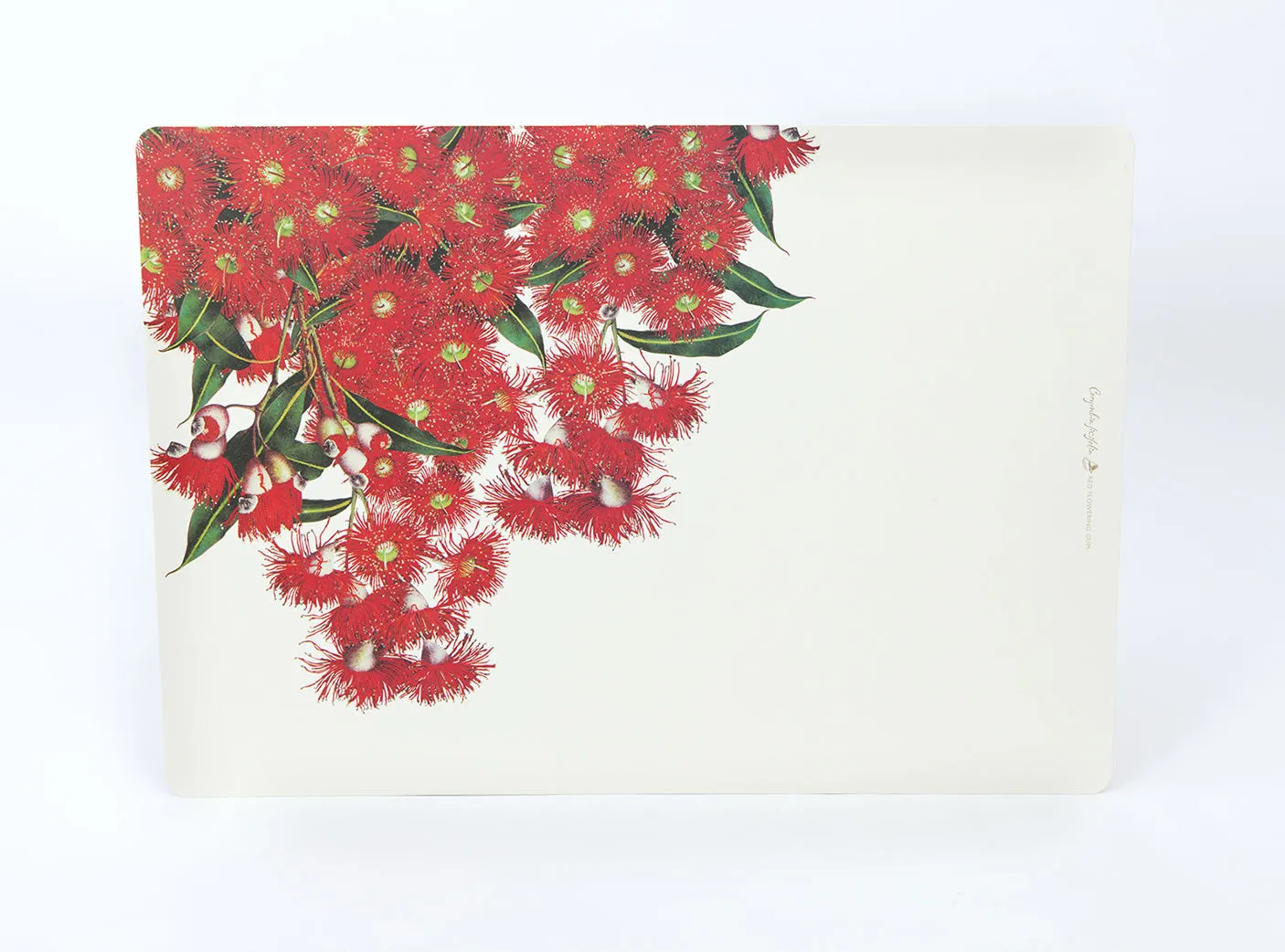 Eucalypt Dining Placemats (set of 4)