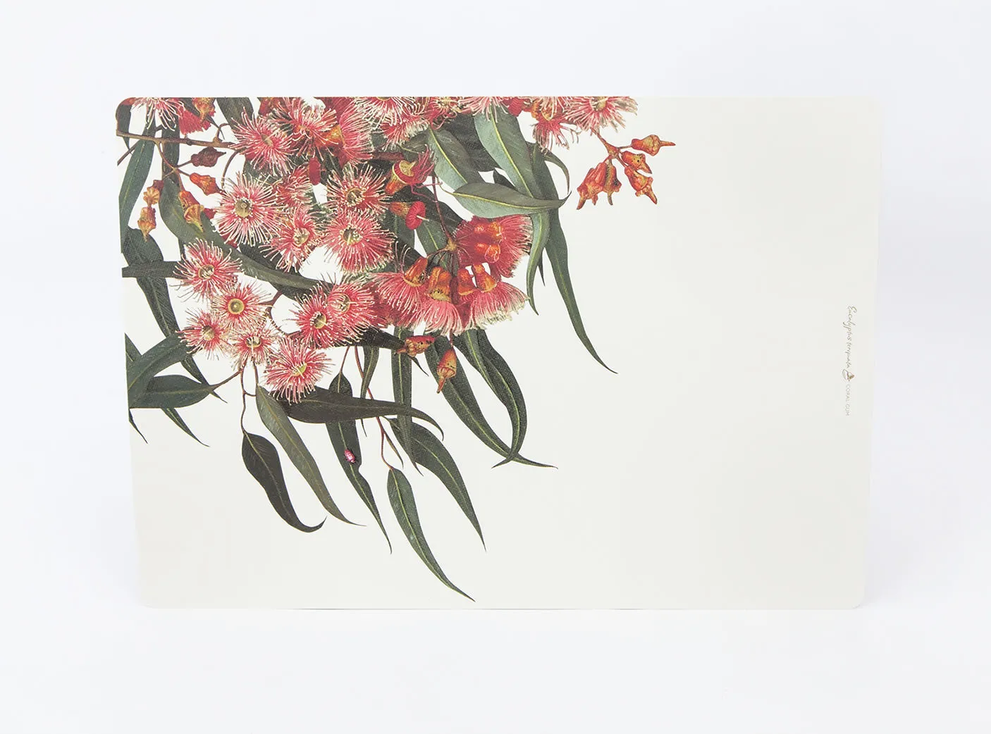 Eucalypt Dining Placemats (set of 4)