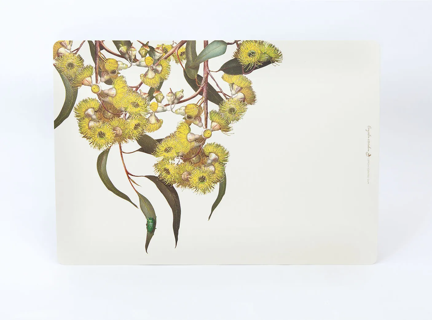 Eucalypt Dining Placemats (set of 4)