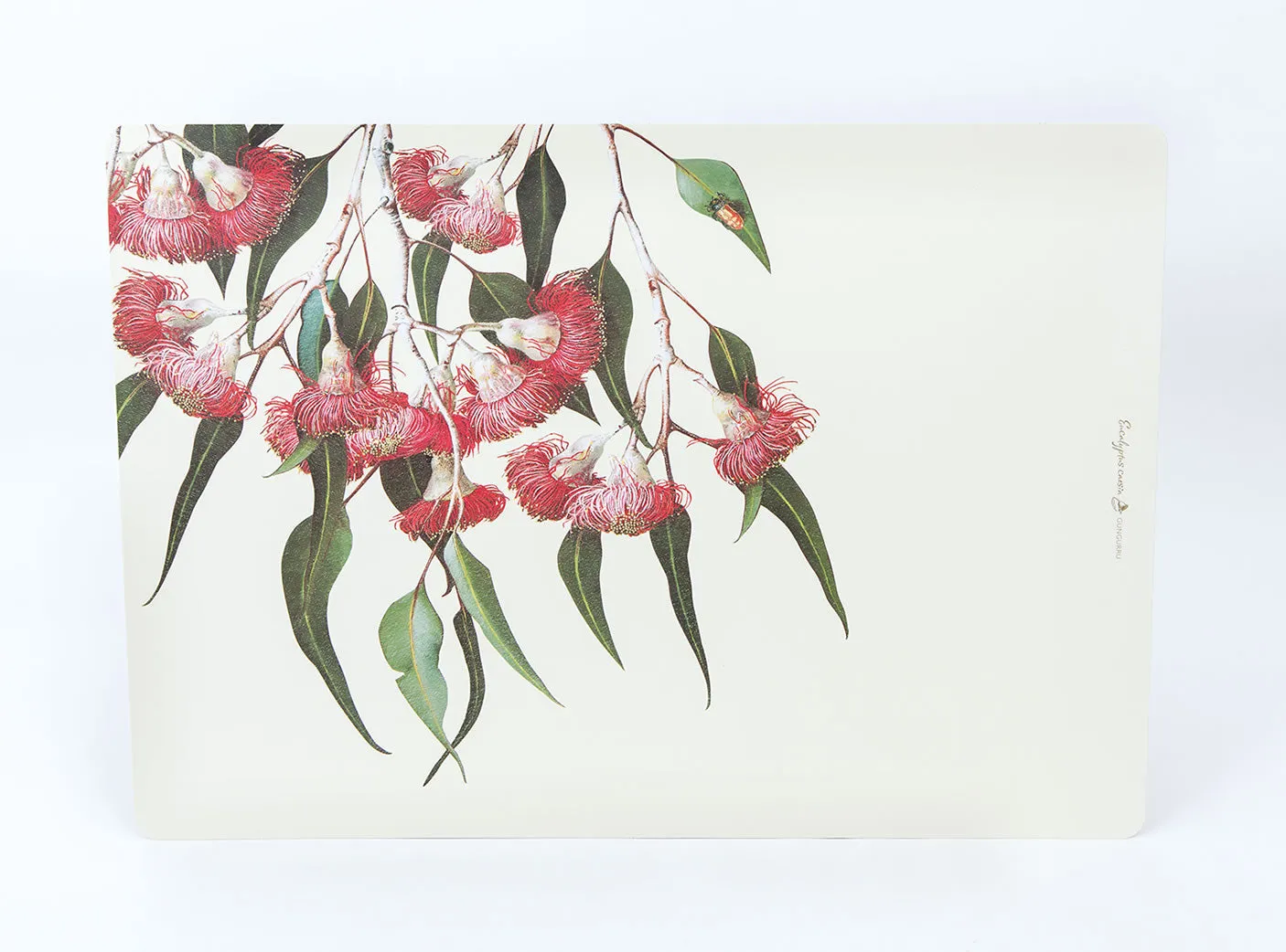 Eucalypt Dining Placemats (set of 4)