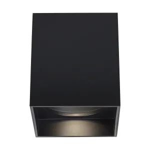 Exo 6" Flush Mount