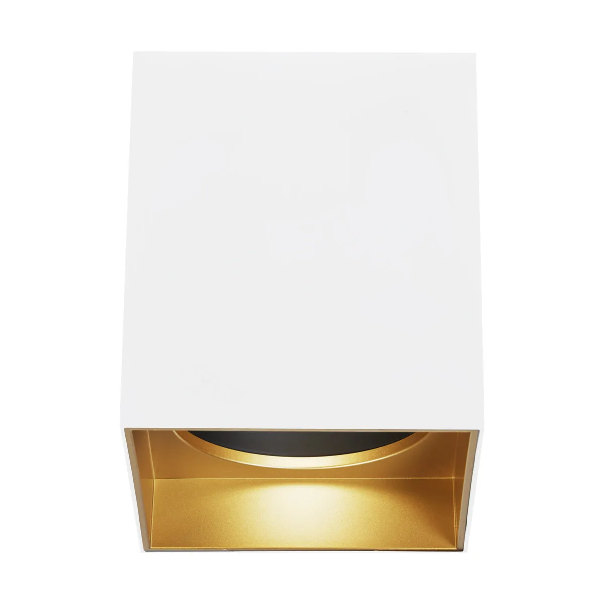 Exo 6" Flush Mount
