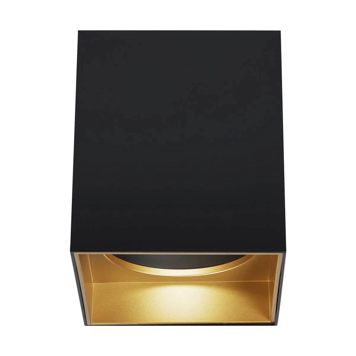 Exo 6" Flush Mount