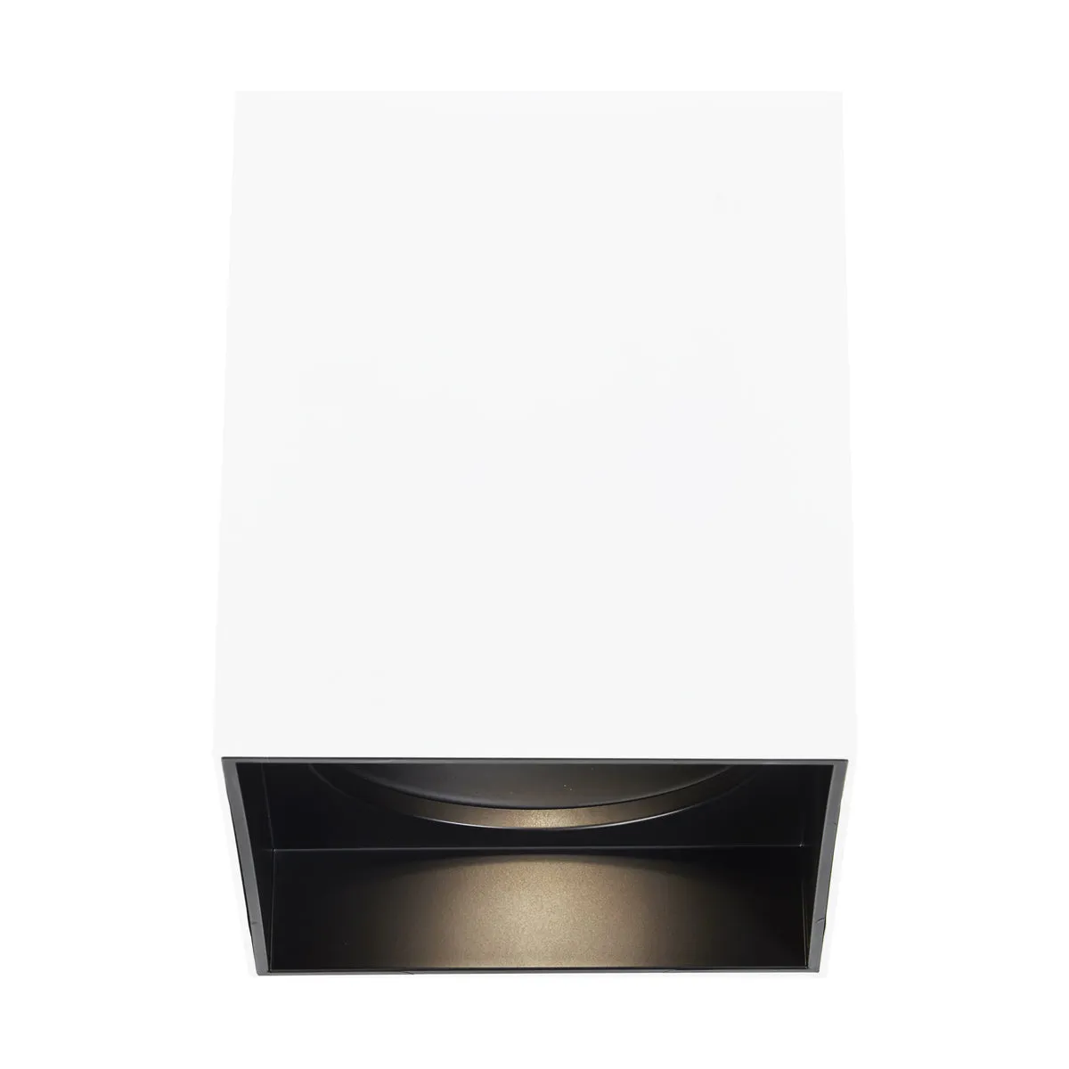 Exo 6" Flush Mount