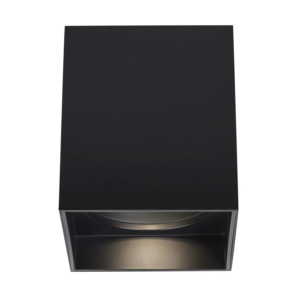 Exo 6" Flush Mount