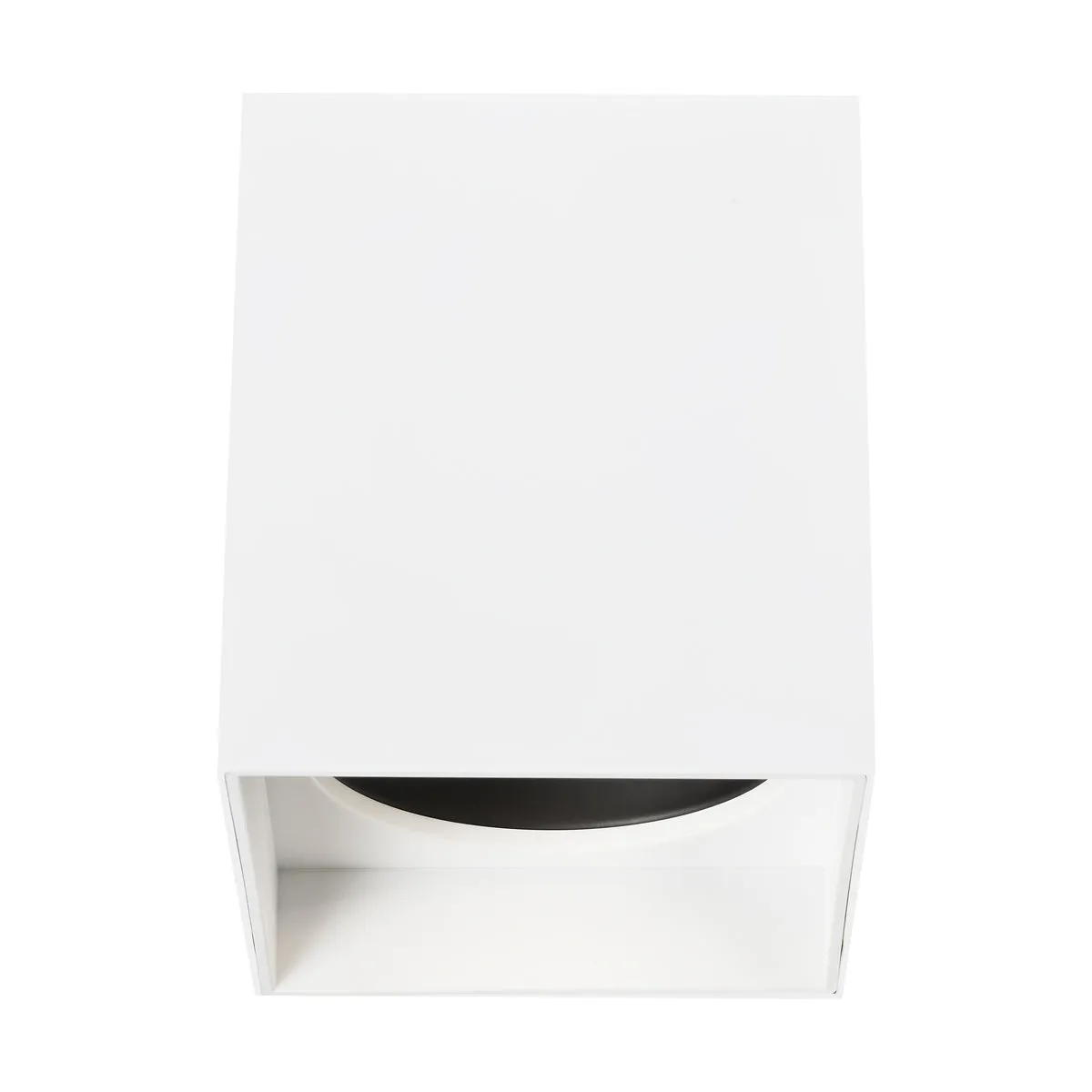 Exo 6" Flush Mount
