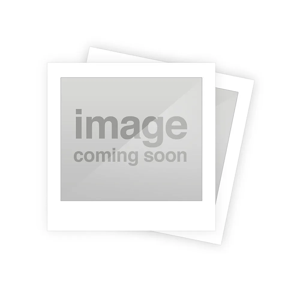 FESTOOL WPS             INT PASSPORT SCAN BAR 20