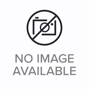 Karcher Safety valve only for replacement | 4.580-732.0