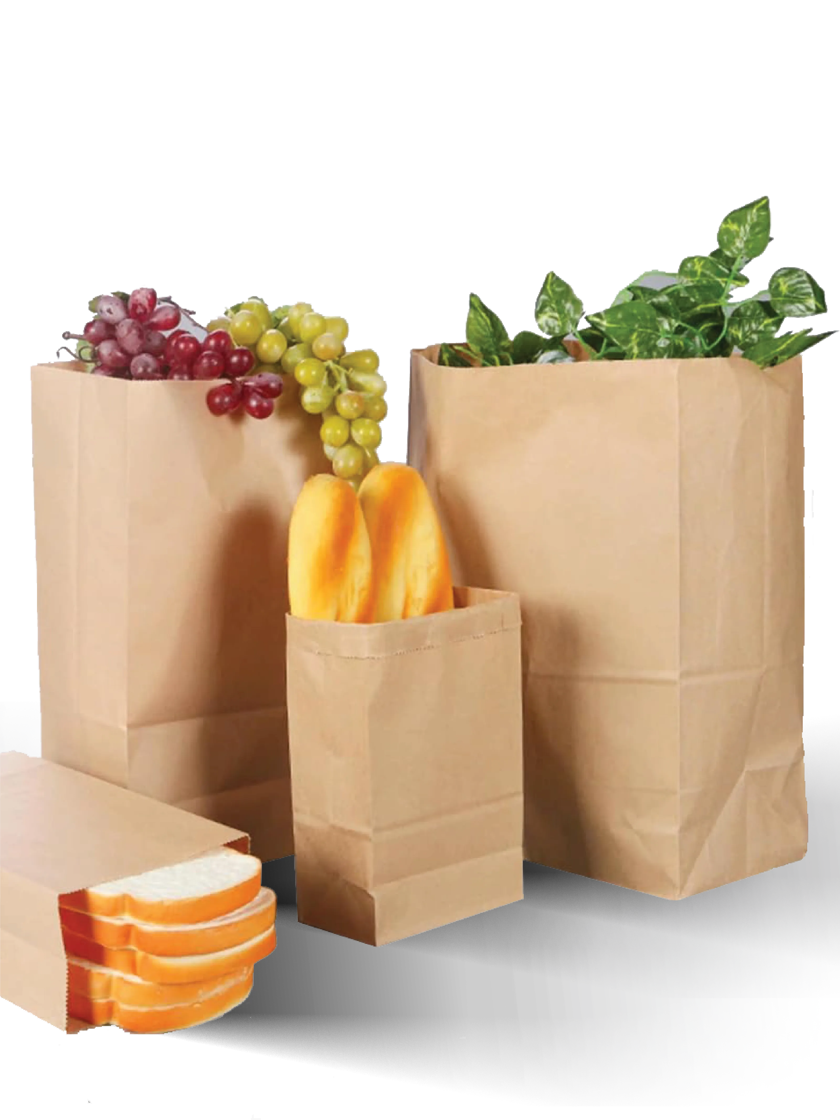 Kraft Paper Bag