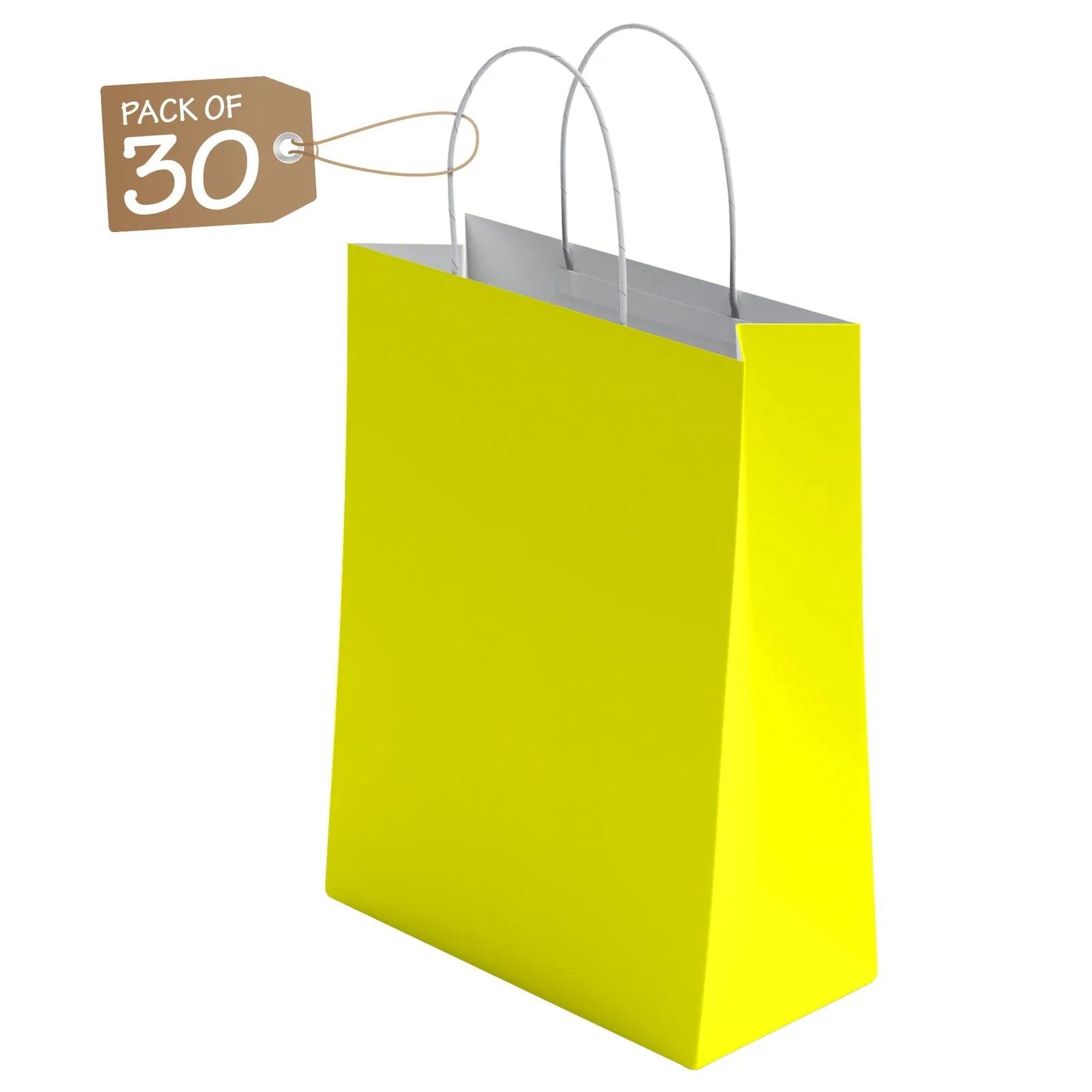 Kraft Paper Bags with Twisted Handle Colored Party Gift Bags Paper Carrier for Birthday 18x22x8cm