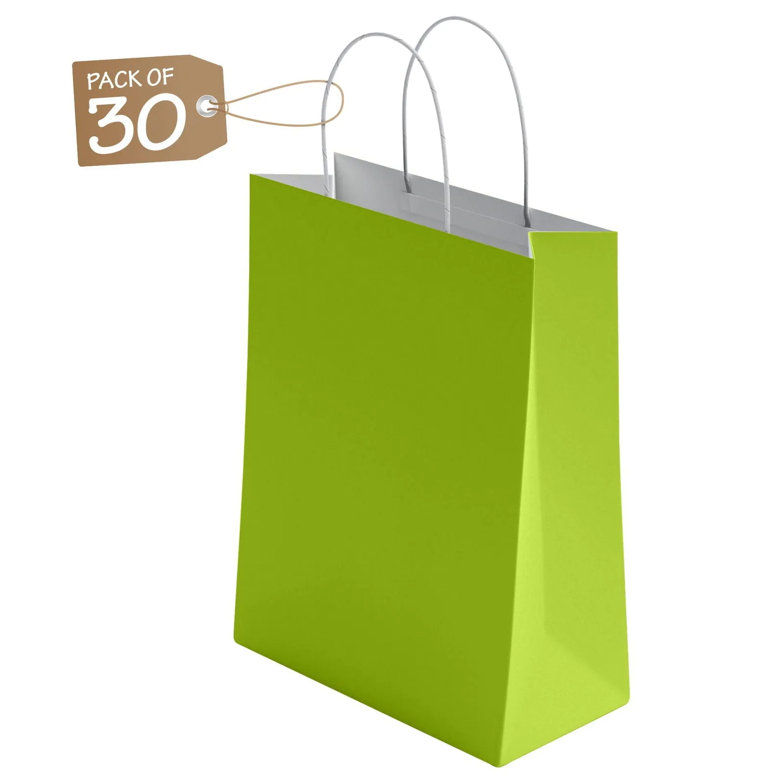 Kraft Paper Bags with Twisted Handle Colored Party Gift Bags Paper Carrier for Birthday 18x22x8cm