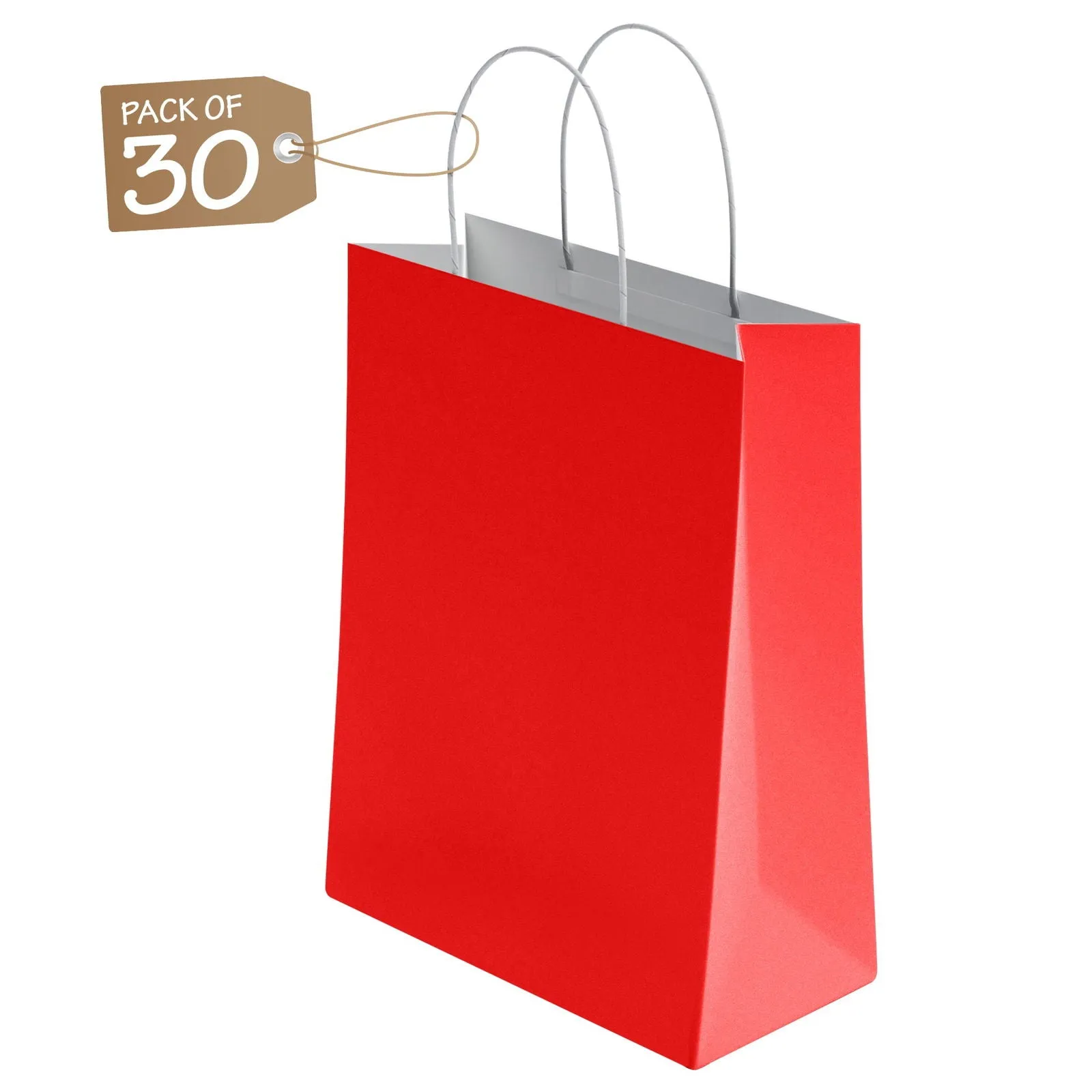 Kraft Paper Bags with Twisted Handle Colored Party Gift Bags Paper Carrier for Birthday 18x22x8cm