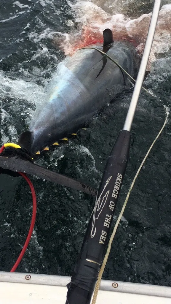 Moneyshot Commercial Harpoon - 12D