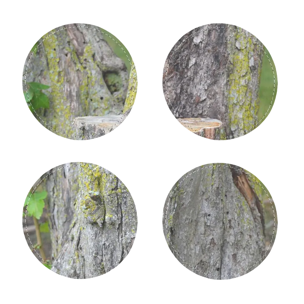 Tree Stump Sublimation Coasters Pack of Four