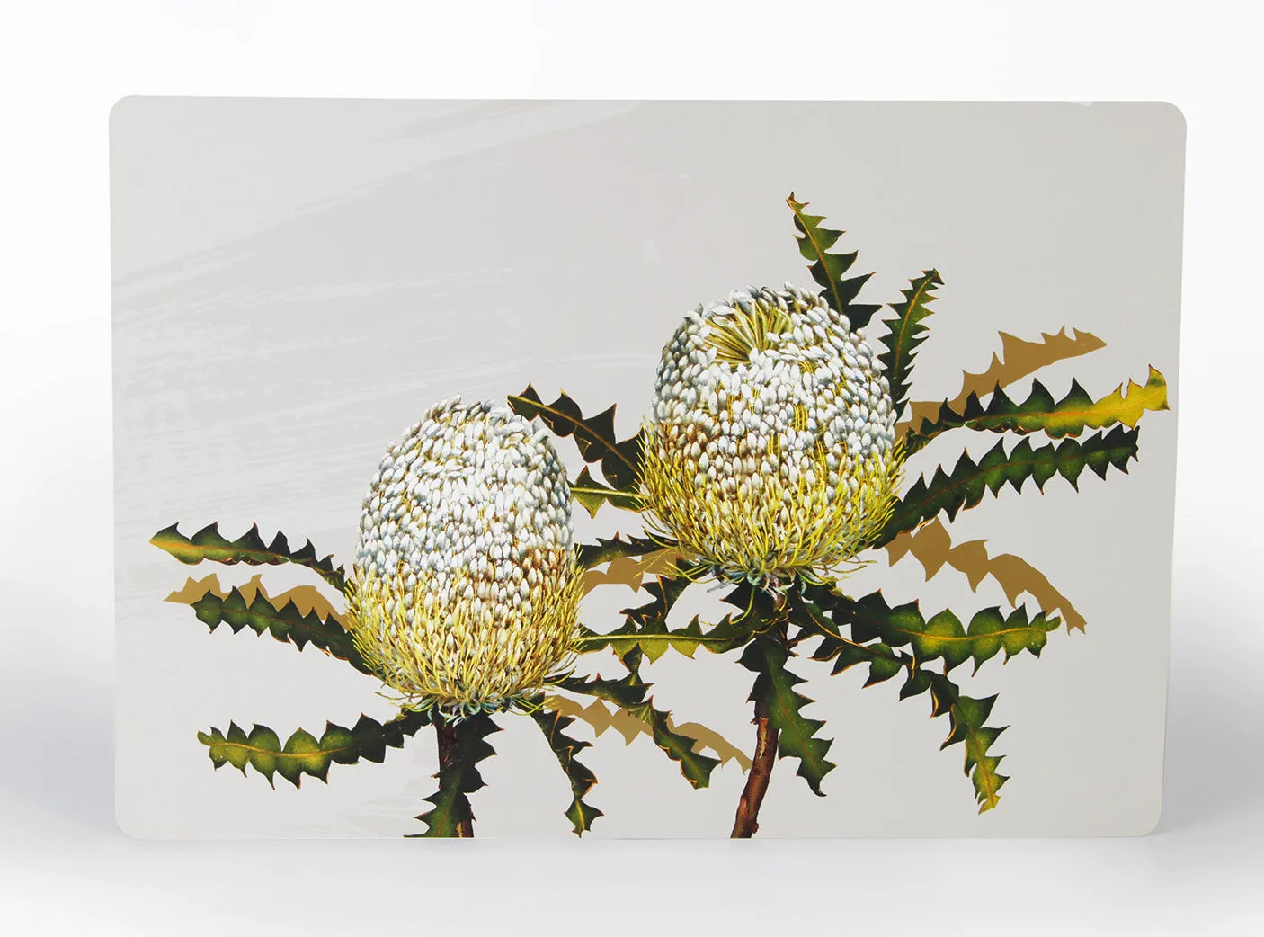White Collection Dining Placemats (set of 4)